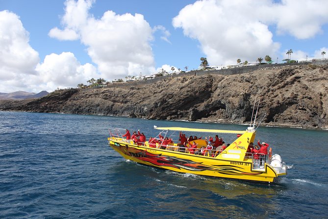 Dolphin Mini Cruise at Playa Del Carmen - Details and Additional Information About the Dolphin Mini Cruise