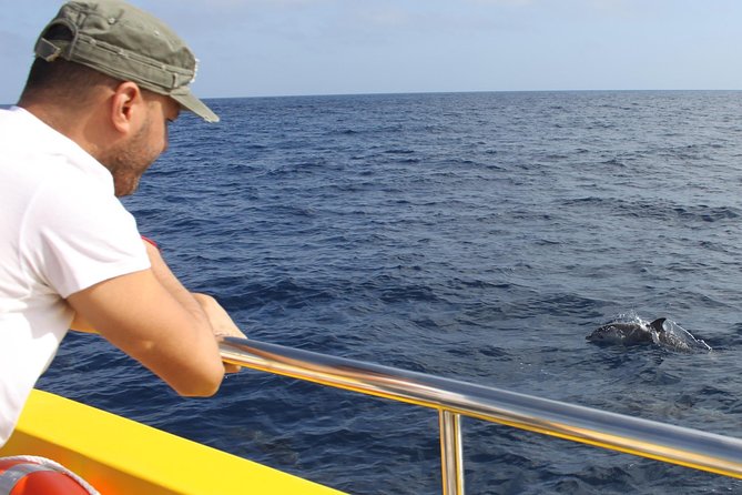 Dolphin Mini Cruise at Playa Del Carmen - Reviews of the Dolphin Mini Cruise