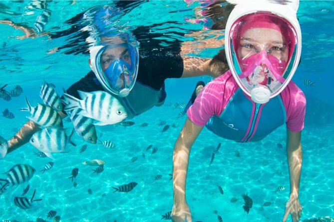 Dolphin Mini Cruise at Playa Del Carmen - Common Questions