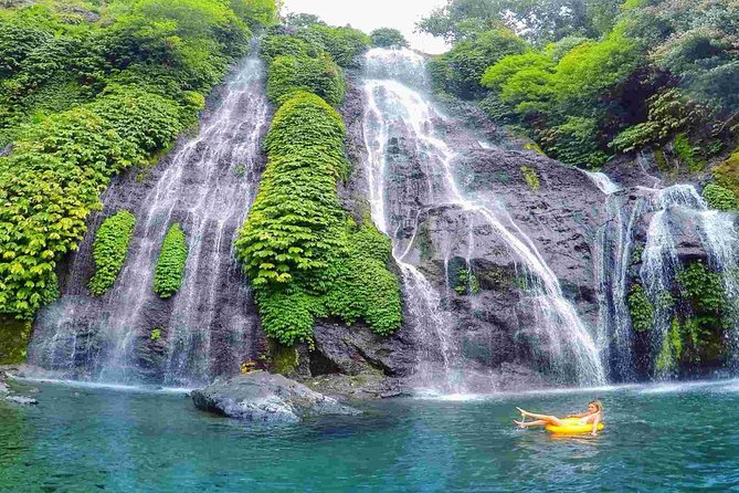 Dolphin North Bali Tour - Itinerary Details