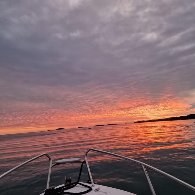 Dolphin Private Sunset Tour Rovinj - Tour Itinerary