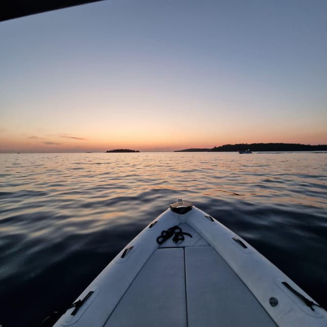 Dolphin Private Sunset Tour Rovinj - What to Bring