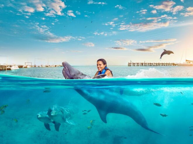 Dolphin Royal Swim VIP in Isla Mujeres - Group Size and Fees