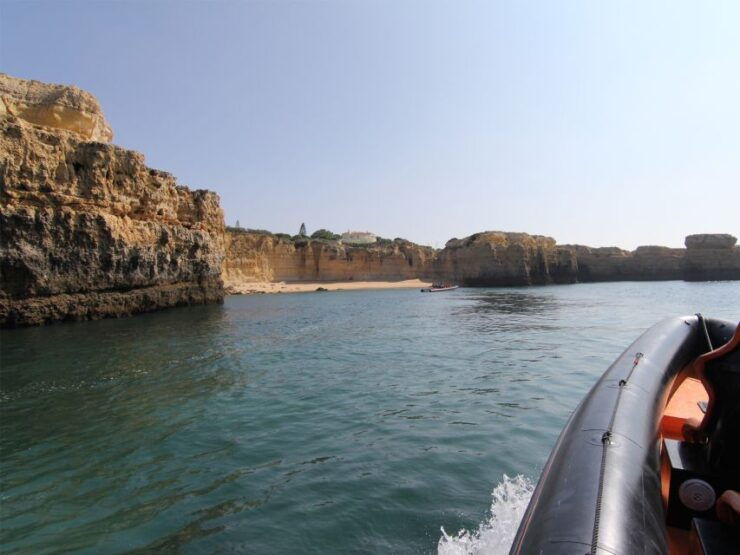 Dolphin Safari and Cave Tour in Vilamoura - Activity Details