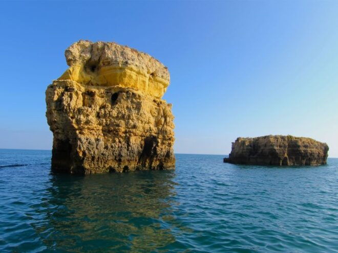 Dolphin Safari and Cave Tour in Vilamoura - Meeting Point and Important Information