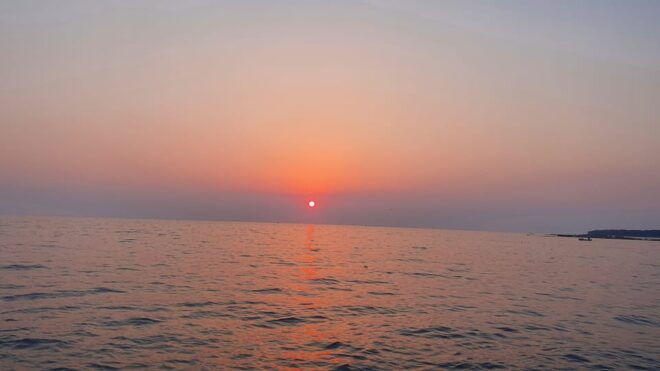 Dolphin Safari Every Evening - What to Bring