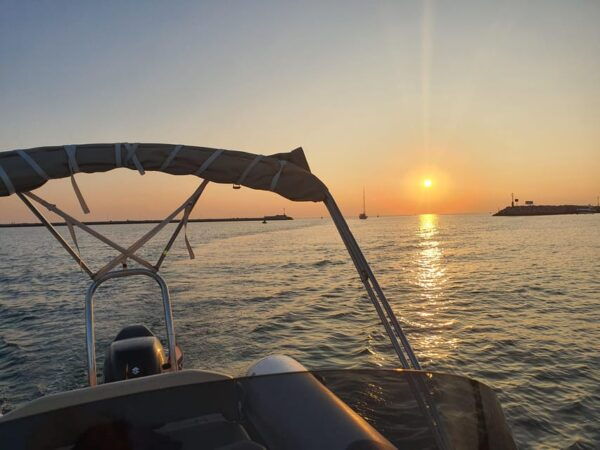 Dolphin Safari Every Evening - Languages Spoken by Hosts