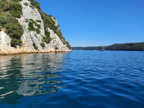 Dolphin Safari Every Evening - Safety and Regulations
