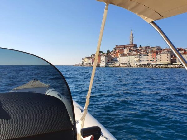 Dolphin Safari Every Evening - Frequently Asked Questions