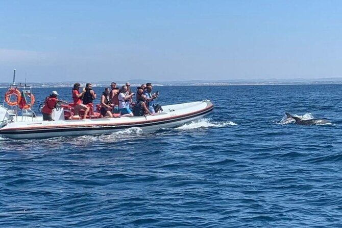 Dolphin Safari, São Rafael Caves & Coastline. - Good To Know