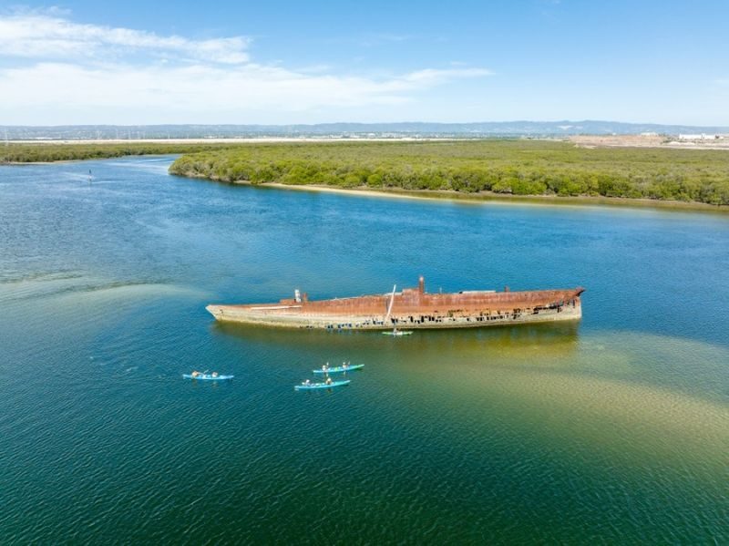 Dolphin Sanctuary and Ships Graveyard Kayak Tour - A few things to know before you book
