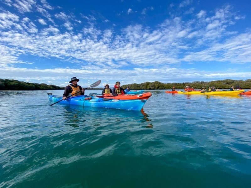 Dolphin Sanctuary and Ships Graveyard Kayak Tour - Looking for dolphins, without expecting a guarantee