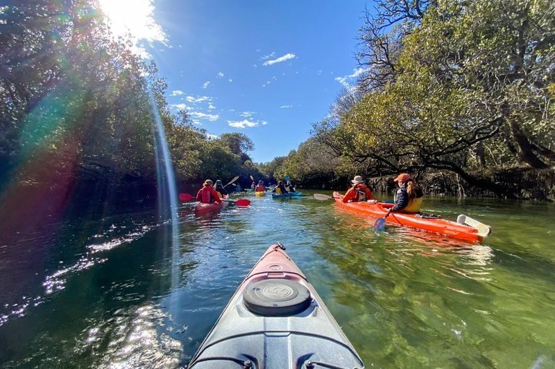 Dolphin Sanctuary Mangroves Tour - At a glance