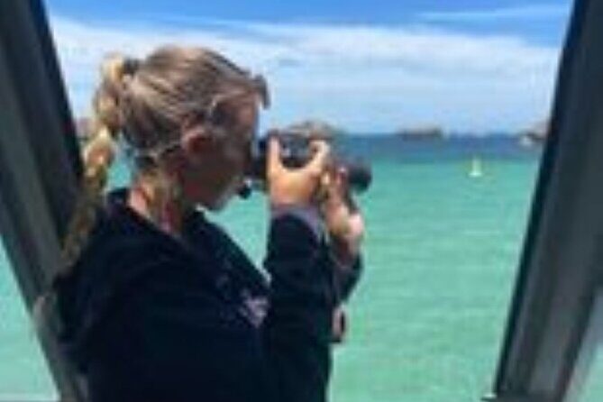 Dolphin, Sea Lion and Penguin Island Cruise - Logistics and Practical Considerations