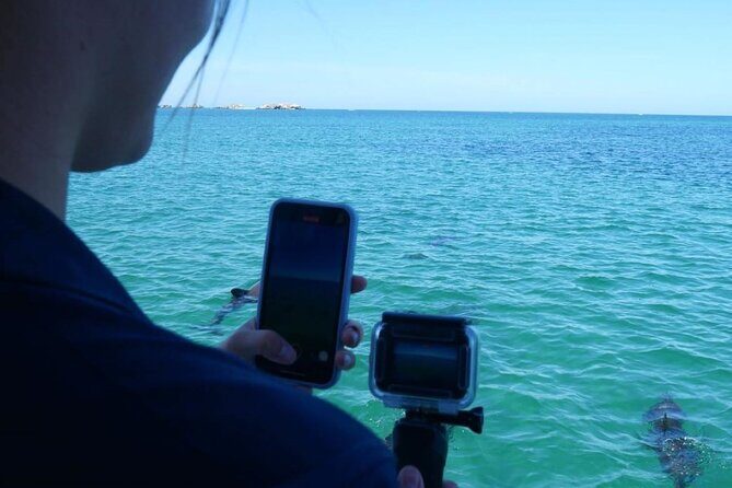 Dolphin, Sea Lion and Penguin Island Cruise - Final Thoughts: Who Is This Tour Best For?