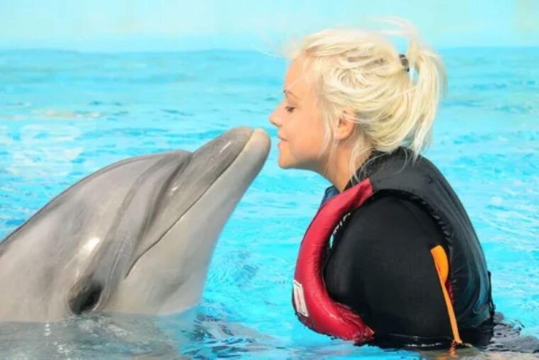 Dolphin Show Tour with Transfer from Alanya & Side - Practical Tips for a Great Experience