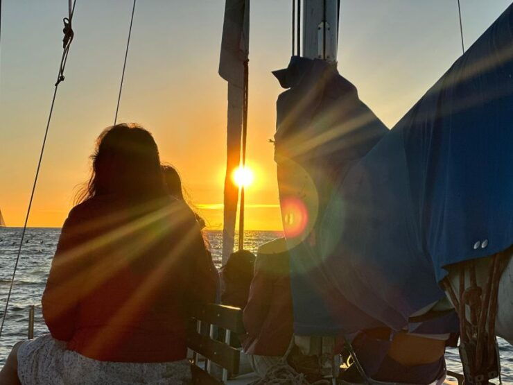 Dolphin Sighting Sunset Tour - Activity Description
