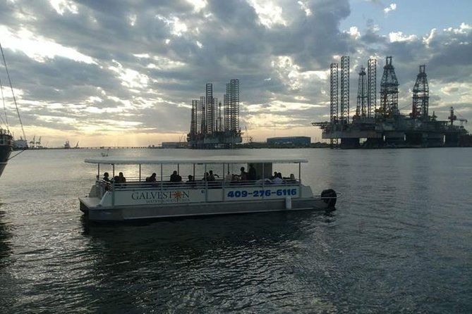 Dolphin Sightseeing Tour With Guide - Overview and Location
