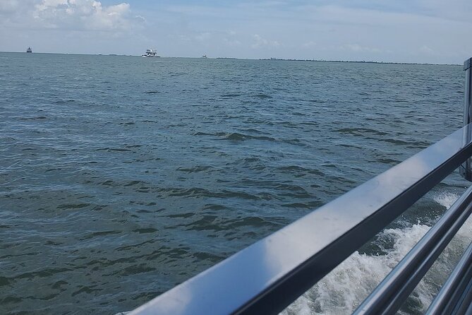 Dolphin Sightseeing Tour With Guide - Dolphin Sightseeing Tour Details
