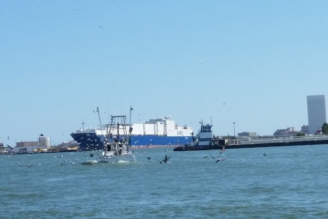 Dolphin Sightseeing Tour With Guide - Cancellation Policy