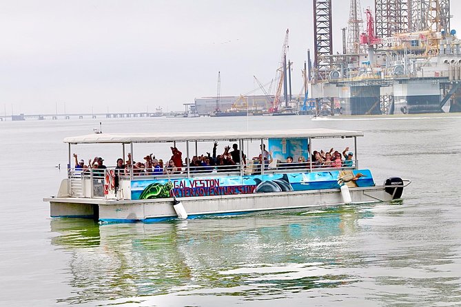 Dolphin Sightseeing Tour With Guide - Common Questions