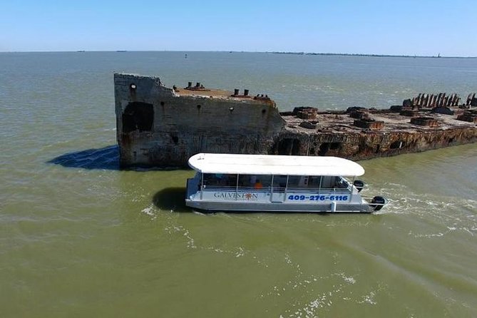 Dolphin Sightseeing Tour With Guide - The Sum Up