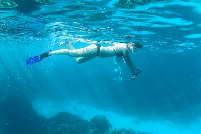 Dolphin Snorkeling Tour From Hurghada, Makadi or El Gouna - Reviews