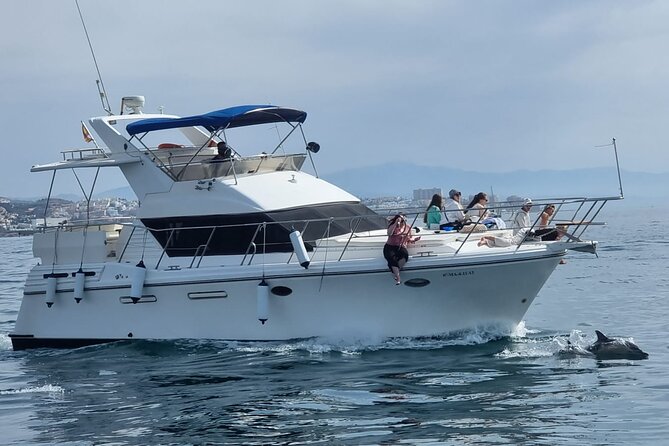Dolphin Spotting Trips in Fuengirola With Free Drinks and Snacks - Cancellation Policy and Refunds