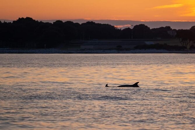 Dolphin & Sunset Tour With Brijuni Panorama - Sightseeing Highlights