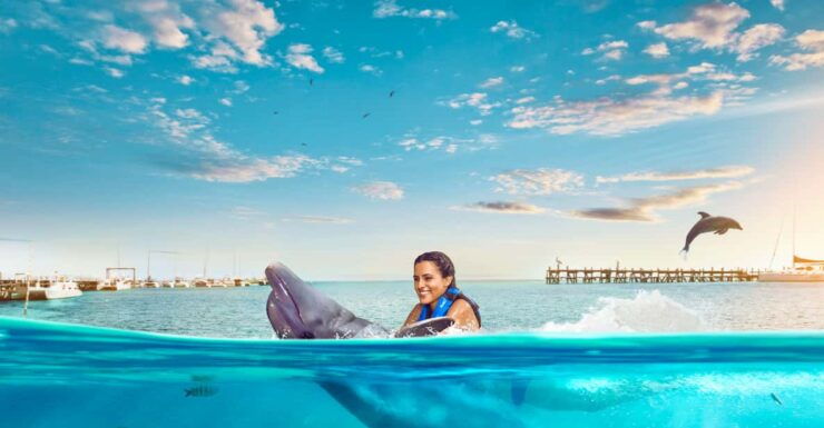 DOLPHIN SWIM ADVENTURE ISLA MUJERES - Good To Know