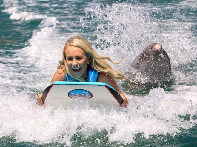 DOLPHIN SWIM ADVENTURE ISLA MUJERES - Booking Details