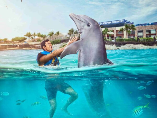 DOLPHIN SWIM ADVENTURE ISLA MUJERES - Professional Photography