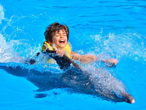 DOLPHIN SWIM ADVENTURE ISLA MUJERES - Frequently Asked Questions