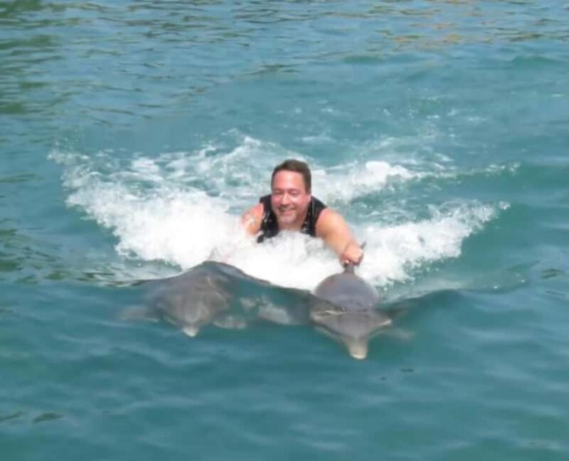 Dolphin Swim Adventure - Good To Know