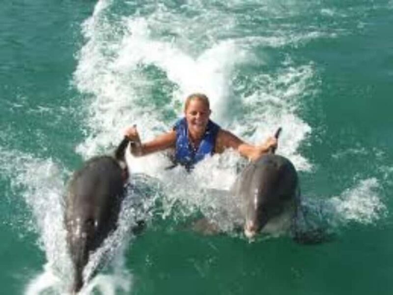 Dolphin Swim Adventure - What to Expect from the Dolphin Swim Adventure