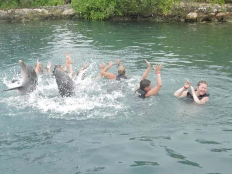 Dolphin Swim Adventure - Authentic Insights from Reviews