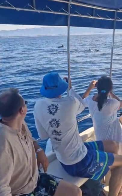 Dolphin tour 2 hours - The Practical Details: How It Works