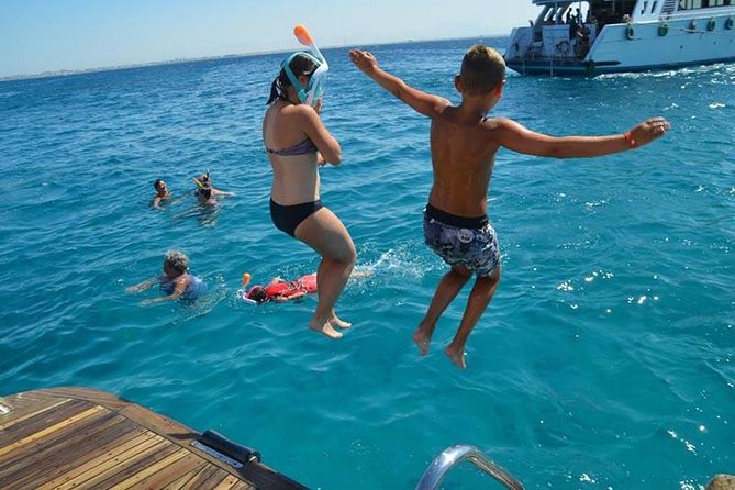 Dolphin Tour in Hurghada - Customer Reviews
