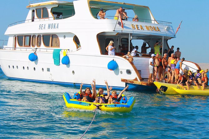 Dolphin Tour in Hurghada - Pricing and Value
