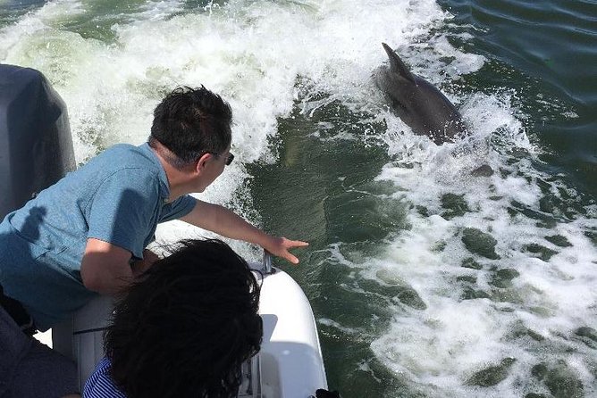 Dolphin Tours - Fort Myers Beach / Naples - Refund Policy and Cancellation