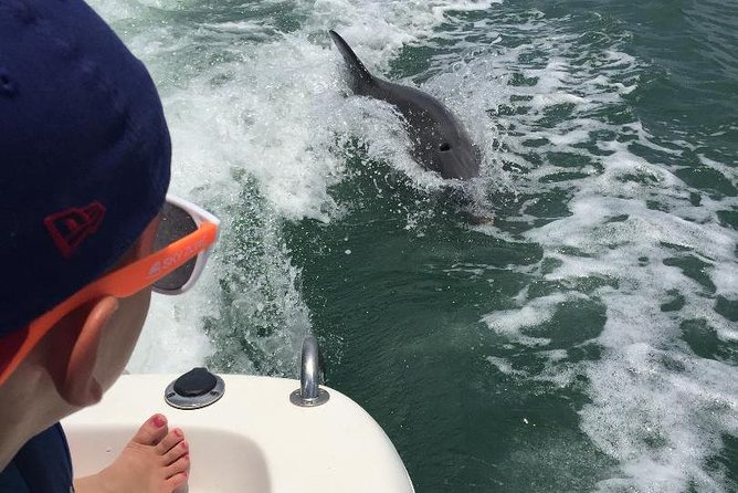 Dolphin Tours - Fort Myers Beach / Naples - Traveler Photos and Reviews