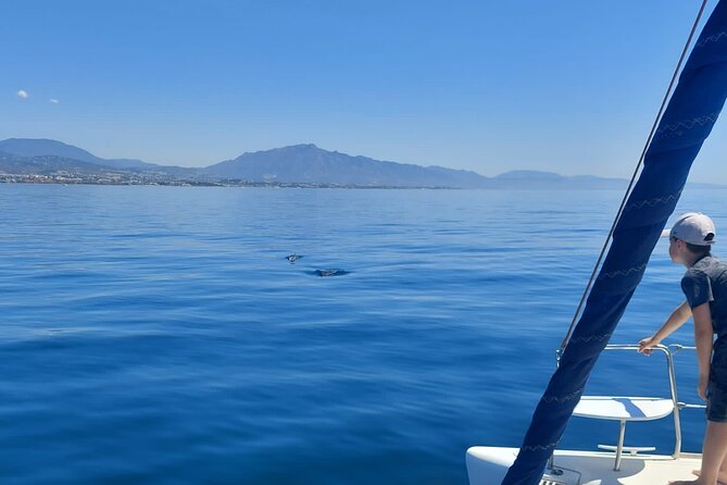 Dolphin Trips on a Catamaran - Inclusions and Accessibility