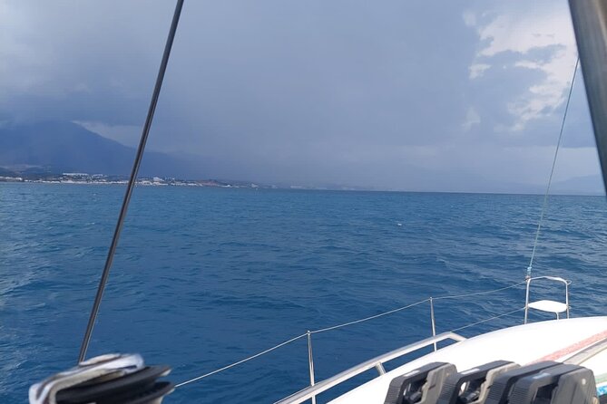 Dolphin Trips on a Catamaran - Directions and Location