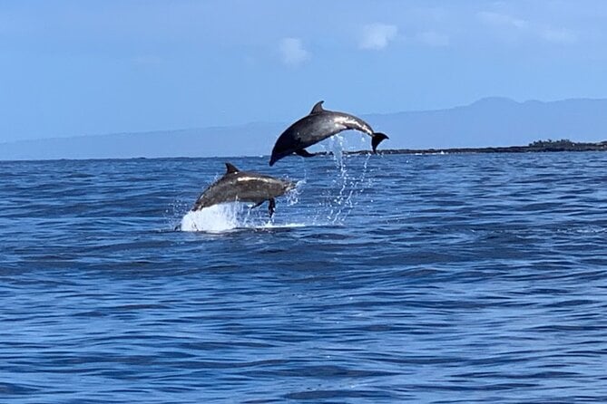 Dolphin Watch & Snorkel Captain Cook Monument Big Island Kailua-Kona Hawaii - Tour Details