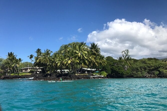 Dolphin Watch & Snorkel Captain Cook Monument Big Island Kailua-Kona Hawaii - Viator Information