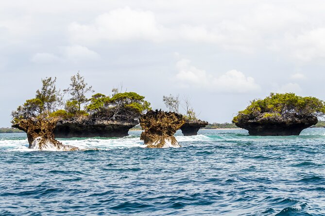 Dolphin Watch & Snorkeling at Kisite Marine Park & Wasini Island - Group Size & Accessibility
