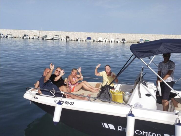 Dolphin Watching: 2-Hour All-Inclusive Experience - Highlights