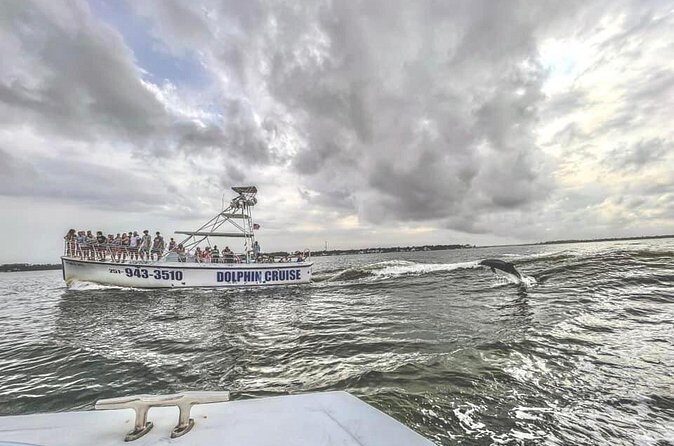 Dolphin Watching aboard the Cold Mil Fleet - Frequently Asked Questions