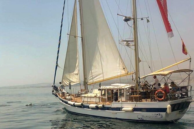 Dolphin Watching Adventure in Estepona Bay - Overview and Experience