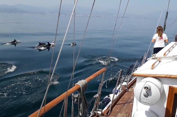Dolphin Watching Adventure in Estepona Bay - Directions for Dolphin Watching Adventure